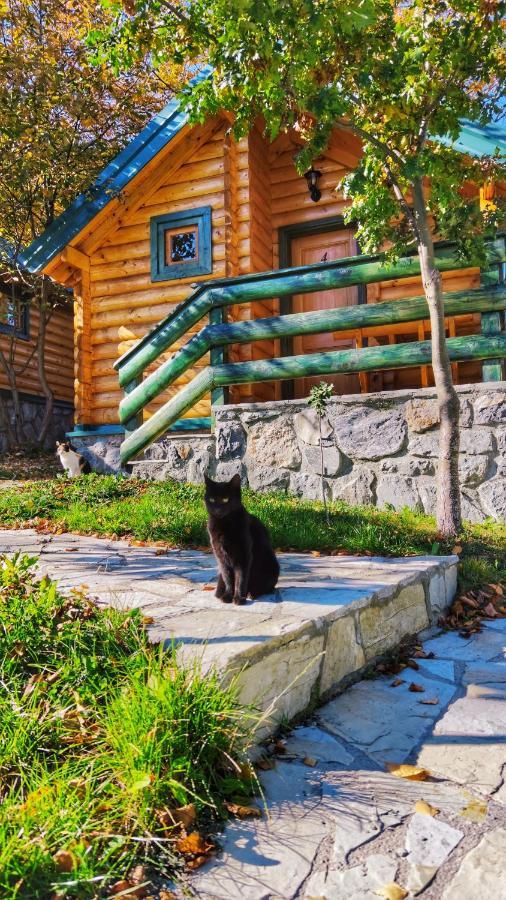 Kozak Apartments & Restaurant Mojkovac Esterno foto